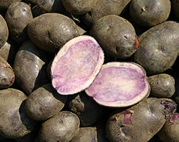 Blauer Kartoffelsalat (Linzer Blaue) Blauer Kartoffelsalat (Linzer Blaue)
